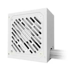 Gigabyte P650SS ICE ATX 3.0 650 Watt 80 Plus Sliver (White)